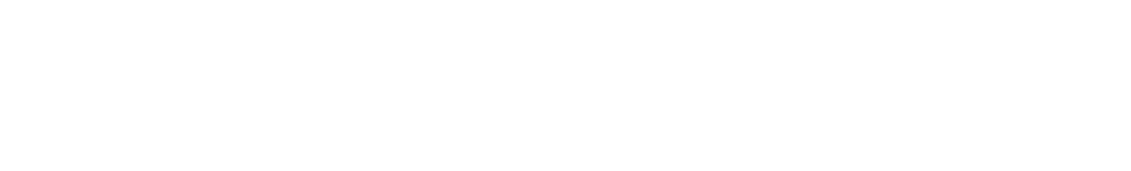 SKV Web Design logo in white
